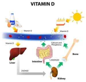 Nguồn vitamin D